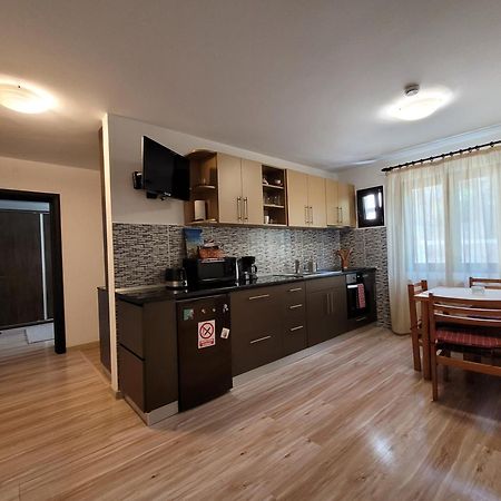 Central Place Apartment Timisoara Bagian luar foto