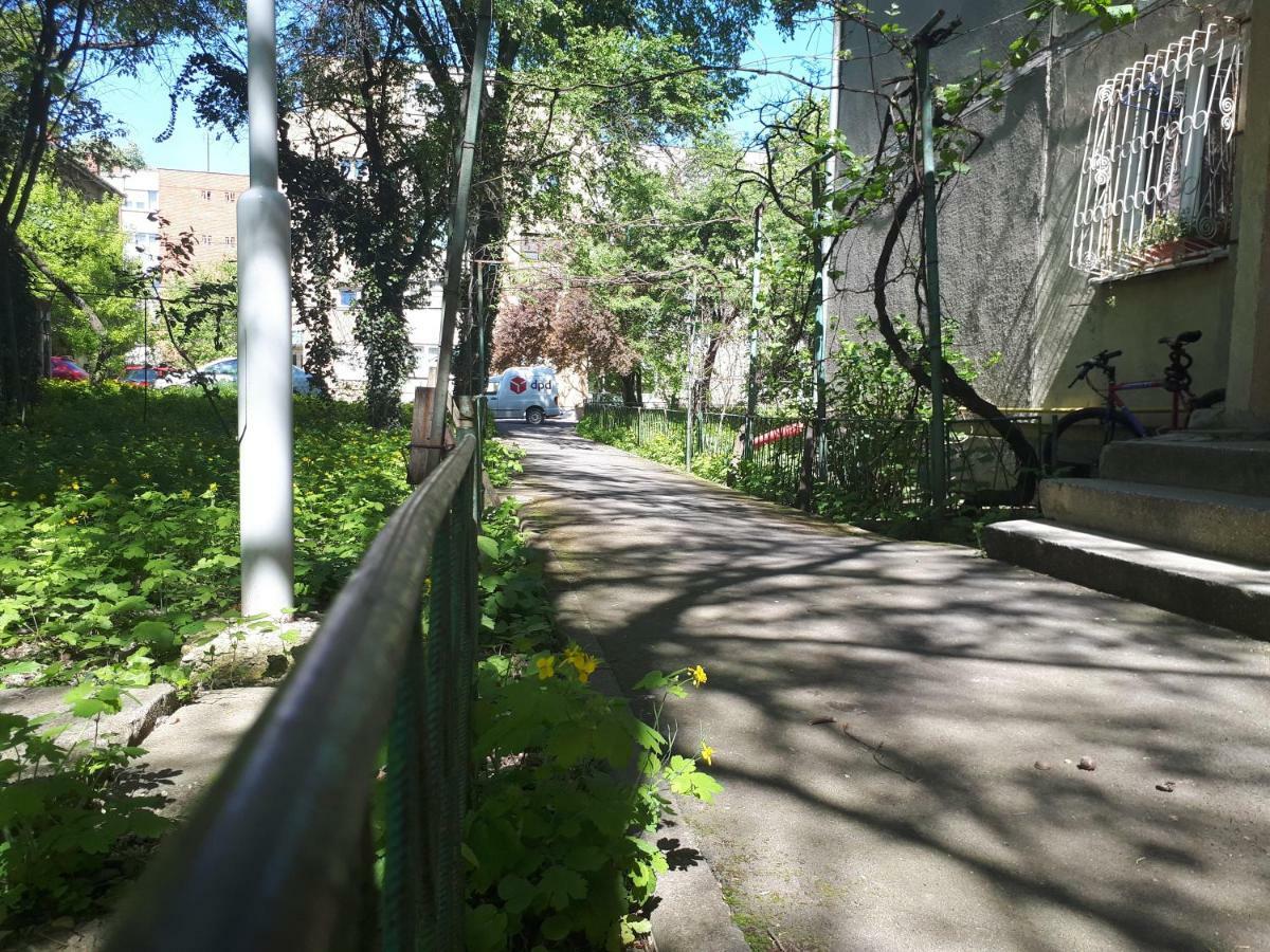 Central Place Apartment Timisoara Bagian luar foto