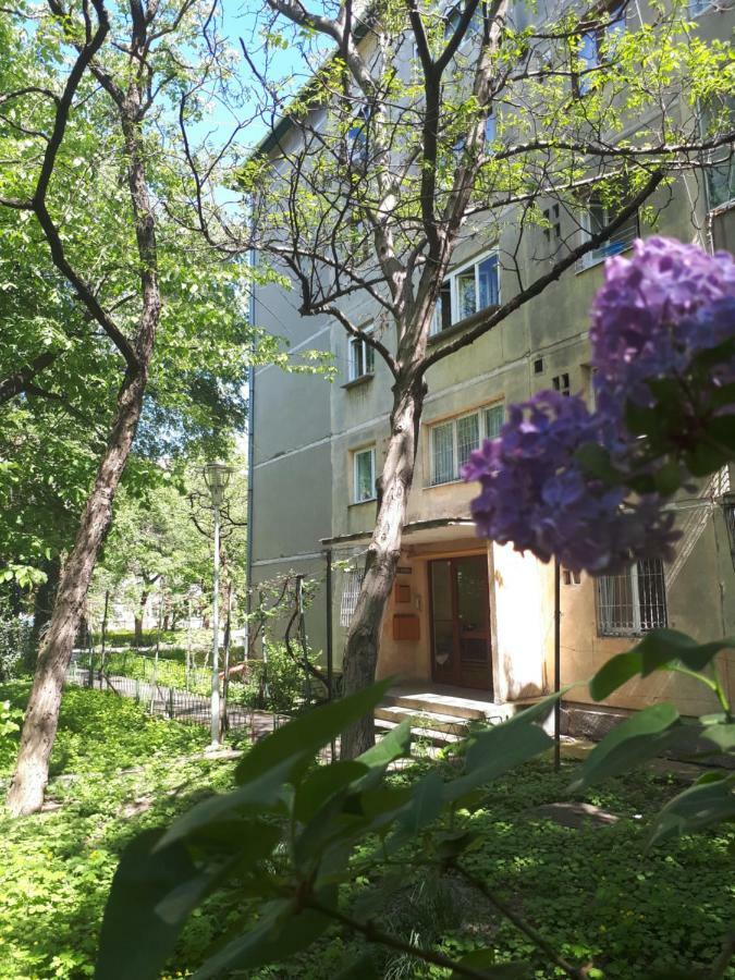 Central Place Apartment Timisoara Bagian luar foto