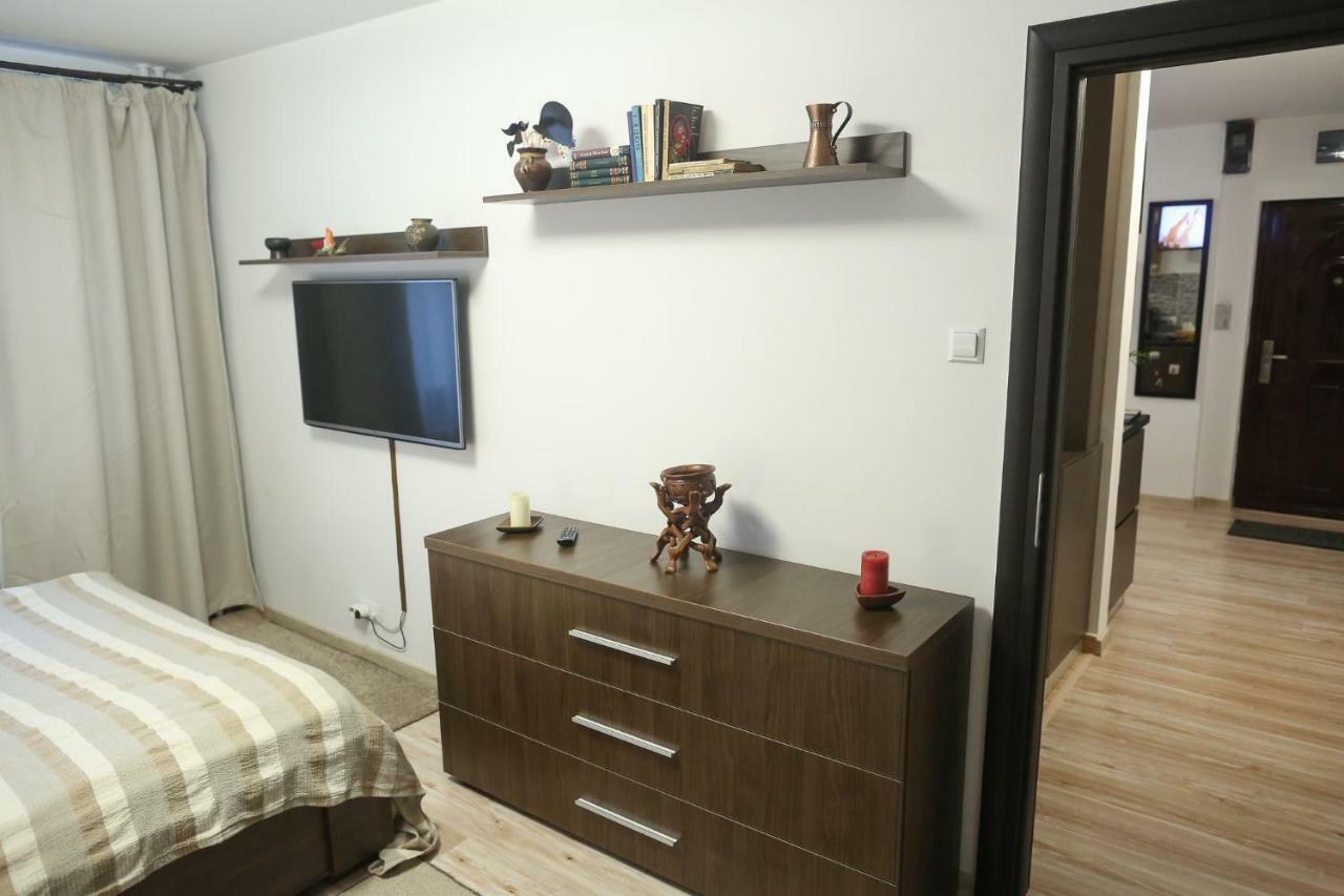 Central Place Apartment Timisoara Bagian luar foto